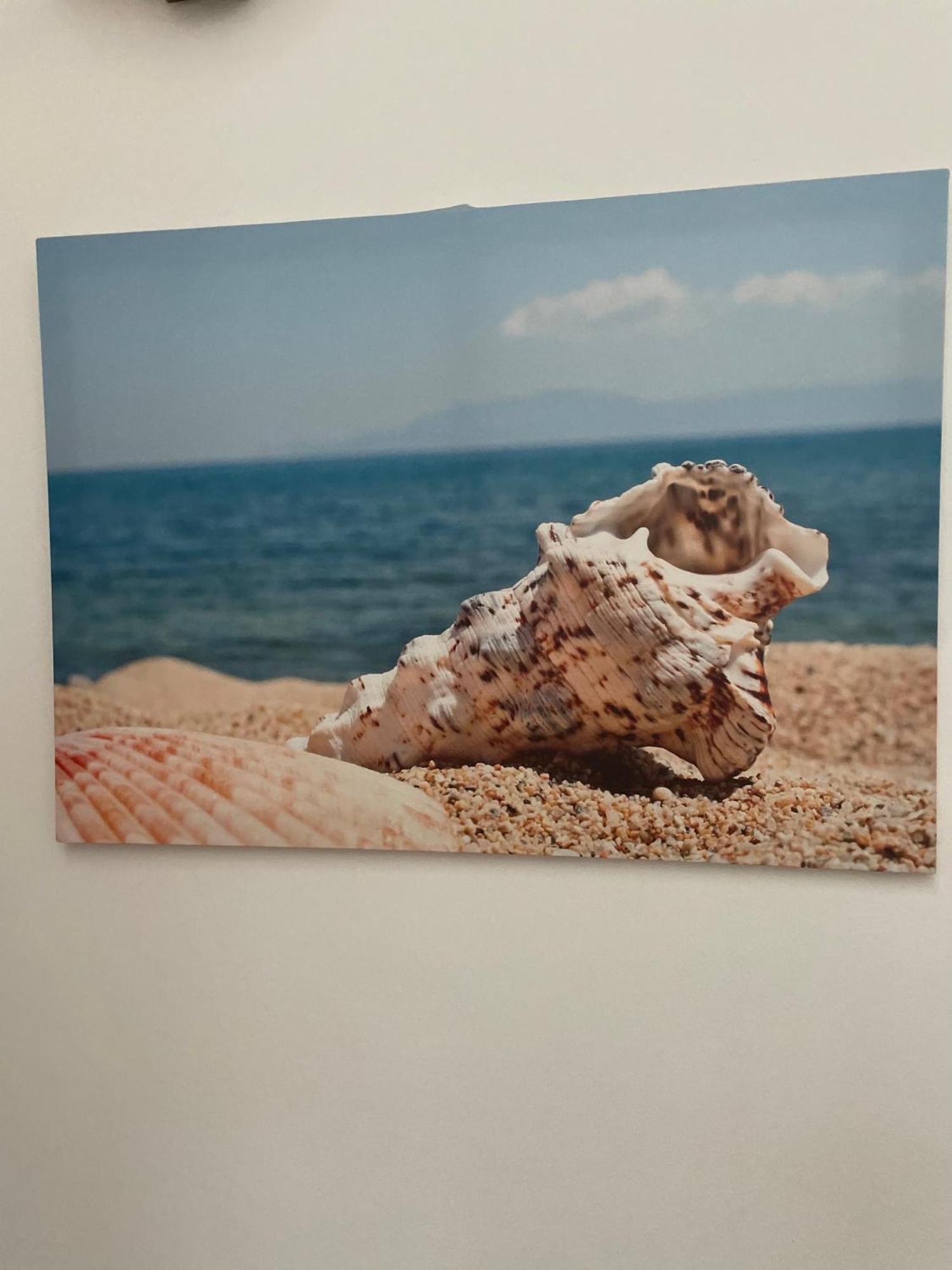 Case Vacanza Trappetodavivere Trappeto  Exteriér fotografie